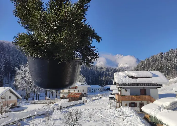 Casasabry Apartment San Nicolo di Comelico